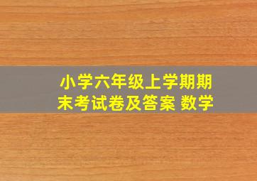 小学六年级上学期期末考试卷及答案 数学